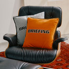 【BRIEFING/ブリーフィング】2点セット クッションカバー サテン 黒 BRIEFING/ブリーフィング】2点セット クッションカバー サテン 黒